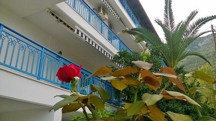 Hotel Dellis 3*